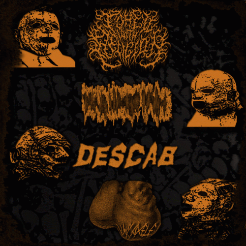 Regurgitasi : 4 Way Grindheads